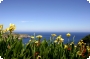 Azorske-ostrovy-iStock000001753892Small-iStock000001753892Small.jpg