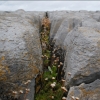 [Cliffs of Moher sú plné takýchto desaťcentimetrových puklín. Cítili by ste sa bezpečne? :)]