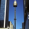 [SYDNEY TOWER]