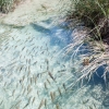 [Plitvice]