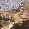 [modrý Jodhpur]