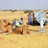 [jeep and camel safari]
