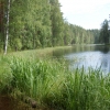 [Punkaharju]