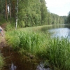 [Punkaharju]