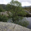 [Preikestolen]