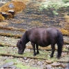 [Geirangerfjord]