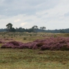 [NP Hoge Veluwe]