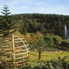 [MAE SAI – GOLDEN DIANEL DOI  TUNG]