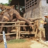 [Chiang Rai]