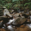 [Chiang Rai]
