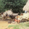 [Chiang Rai]