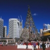 [Darling Harbour Sydney]