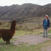 [Arequipa]