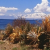 [TITICACA]