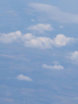 img_-0509-bulh-_4_.jpg