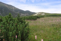 img_0003-tatry.jpg