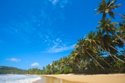 pláž na Srí Lanke