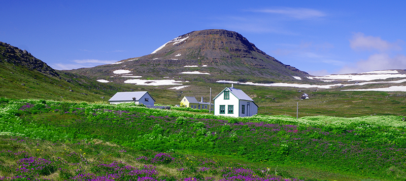 Turistika v Hornstrandir na islande