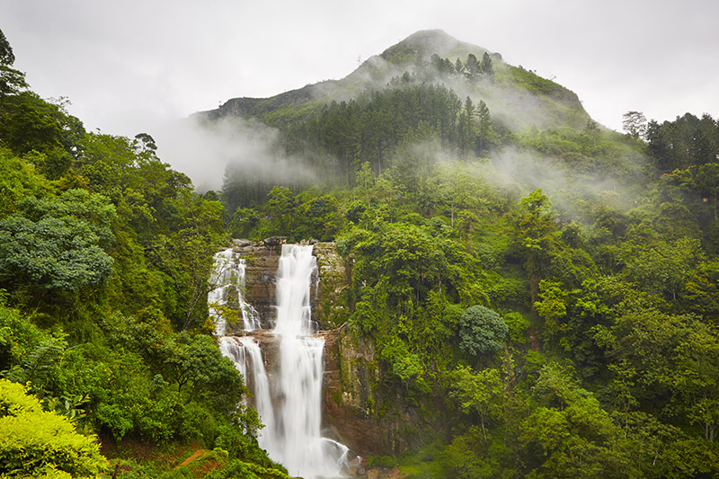 Priroda na sri lanke