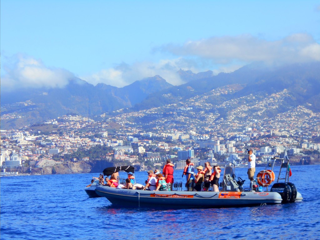 Vyhlad na Madeiru z lode