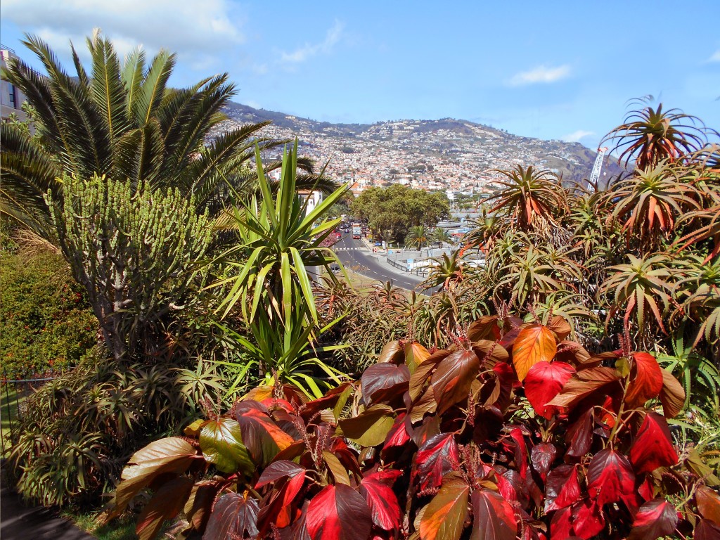 Vyhlad na mesto Funchal - Madeira