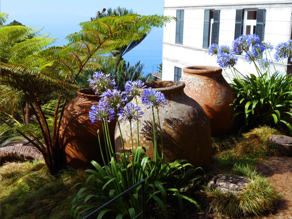 Zahrady Madeira